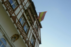 DSC3117