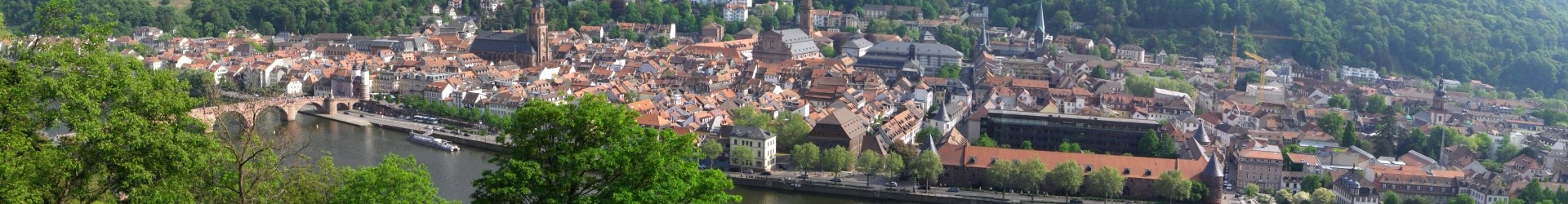 Artikel in der RNZ: Das Heidelberger Brückentor